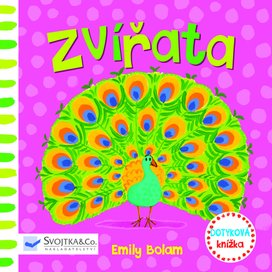 Zvířata