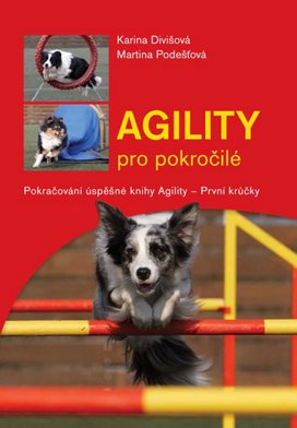 Agility pro pokročilé
