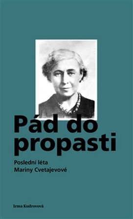 Pád do propasti