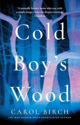 Cold Boy's Wood