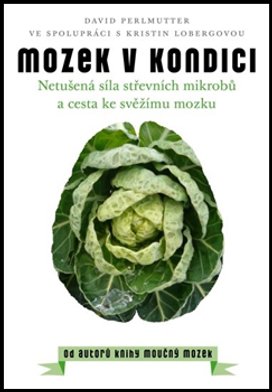 Mozek v kondici