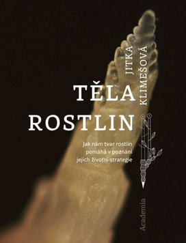 Těla rostlin