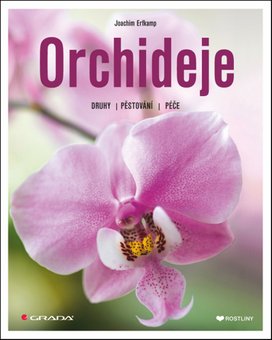 Orchideje