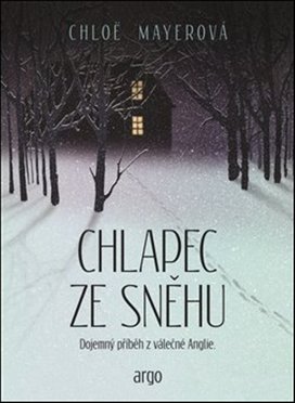 Chlapec ze sněhu