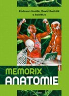 Memorix anatomie