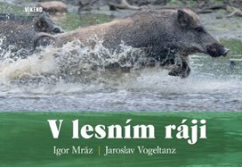 V lesním ráji