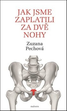 Jak jsme zaplatili za dvě nohy