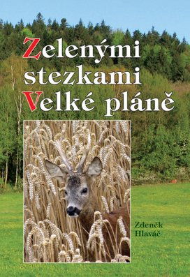 Zelenými stezkami Velké pláně