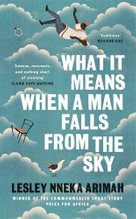 What It Means When a Man Falls from the Sky