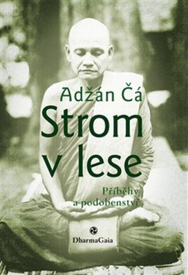 Strom v lese