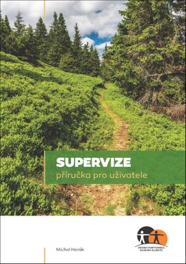 Supervize