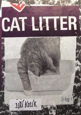 Cat Litter