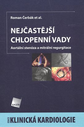Nejčastější chlopenní vady