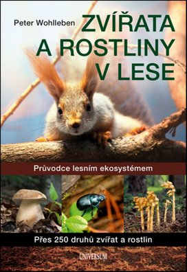 Zvířata a rostliny v lese