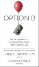 Option B