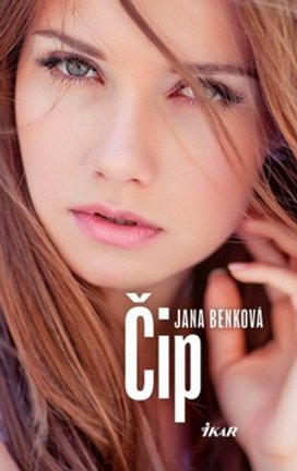 Čip