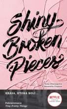 Shiny Broken Pieces