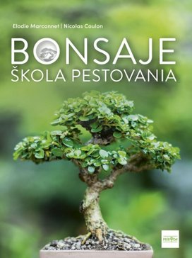 Bonsaje škola pestovania