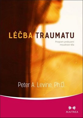 Léčba traumatu