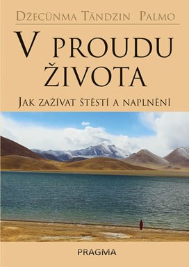 V proudu života