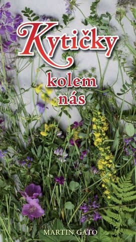 Kytičky kolem nás