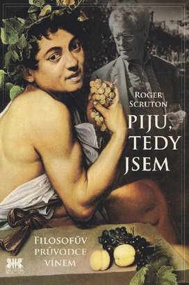 Piju, tedy jsem