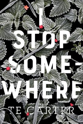 I Stop Somewhere