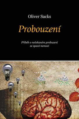 Probouzení