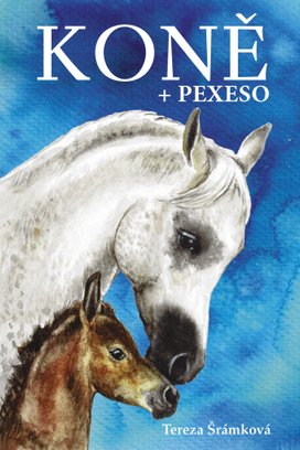 Koně + pexeso