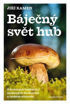 Báječný svět hub