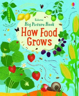 Big Picture Book How Food Grows