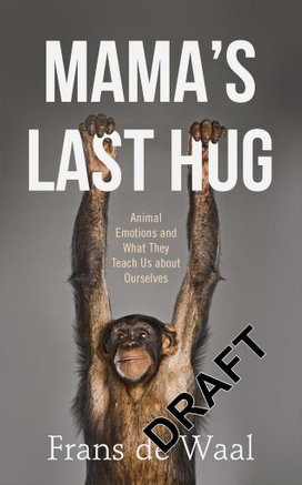 Mama's Last Hug