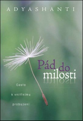 Pád do milosti
