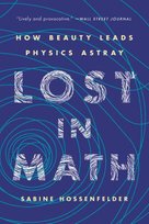 Lost in Math