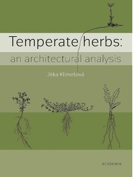 Temperate herbs