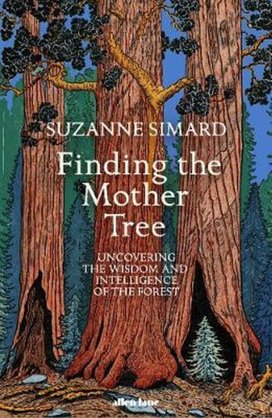 Finding the Mother Tree