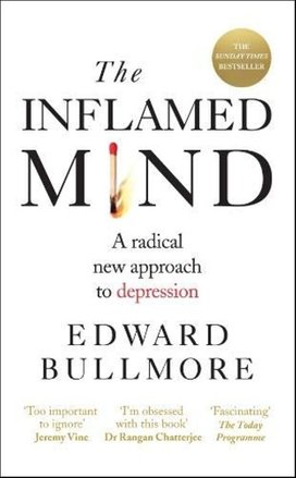 The Inflamed Mind