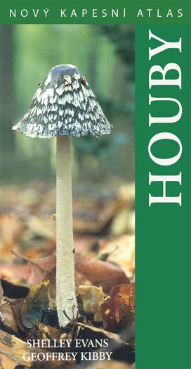 Houby