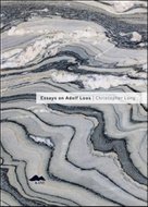 Essays on Adolf Loos
