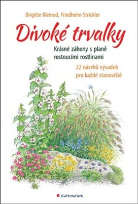 Divoké trvalky