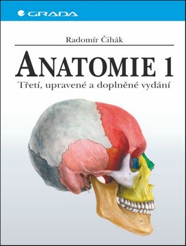 Anatomie 1.