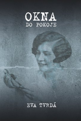 Okna do pokoje