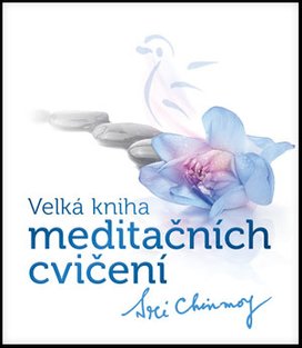 Velká kniha meditačních cvičení
