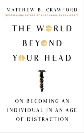 The World Beyond Your Head