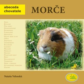 Morče