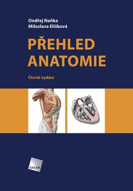 Přehled anatomie