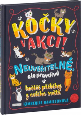 Kočky v akci!
