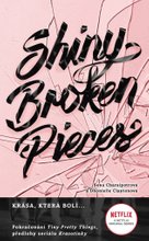 Shiny Broken Pieces