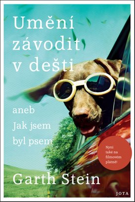 Umění závodit v dešti
