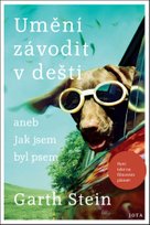Umění závodit v dešti